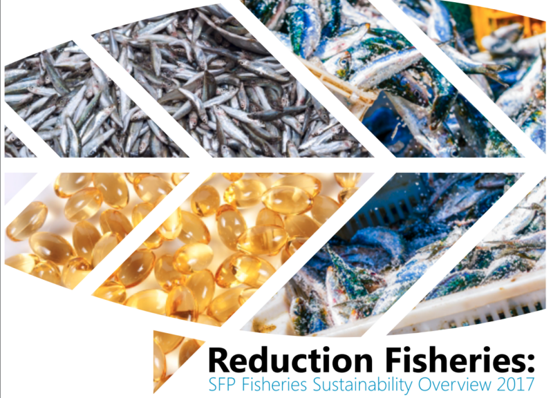 Panorama de la sostenibilidad de la pesca de reducción de la PPC en 2017